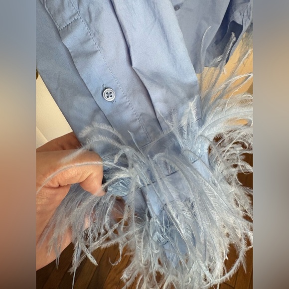 J.Crew Collection Feather Trim Poplin Button-Up Shirt | Size 14 | Blue - Picture 7 of 15